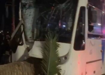 Agadir : un bus percute à vive allure un palmier, 59 blessés