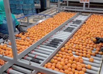 Hausse record des exportations de produits alimentaires agricoles et maritimes du Maroc en 2022