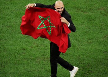 Tête » d’avocat «