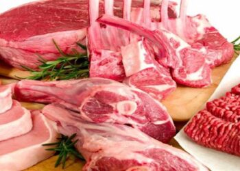 Le ministre délégué annonce des mesures pour surmonter les obstacles à l’importation de viandes rouges