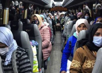 Espagne : arrivée des saisonnières marocaines dans les champs de fraises à Huelva