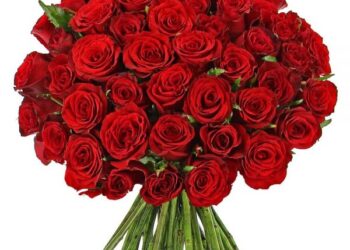 Offrir des fleurs pour la Journée de la femme : tradition populaire et soutien à l’égalité des sexes