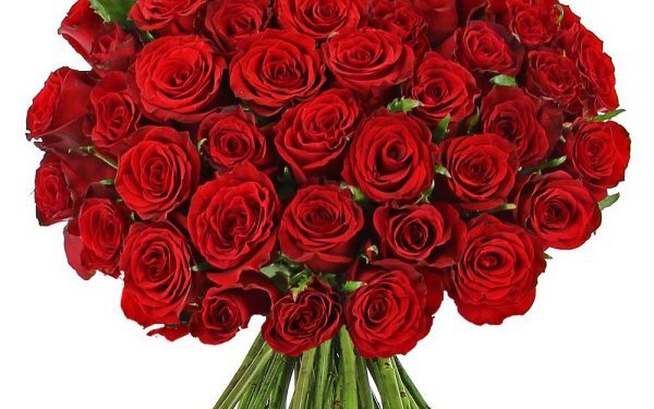 Offrir des fleurs pour la Journée de la femme : tradition populaire et soutien à l’égalité des sexes