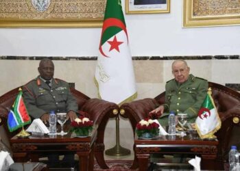 Algérie et Afrique du Sud : une coopération militaire bilatérale renforcée pour contrer le Maroc