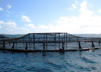 Maroc et Israël consolident leurs relations avec un ambitieux projet au Sahara marocain