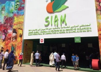 Nouvelle dynamique de collaboration agricole entre le Maroc et le Royaume-Uni au 15ème SIAM