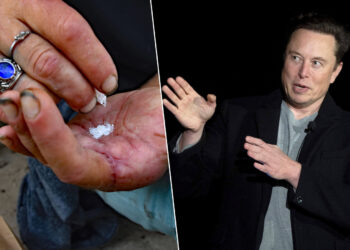 Elon Musk plaide pour la légalisation du fentanyl aux États-Unis