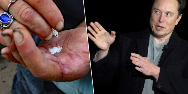 Elon Musk plaide pour la légalisation du fentanyl aux États-Unis