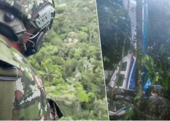 Un miracle dans la jungle: Comment 4 enfants ont survécu seuls 15 jours après un crash d’avion en Amazonie