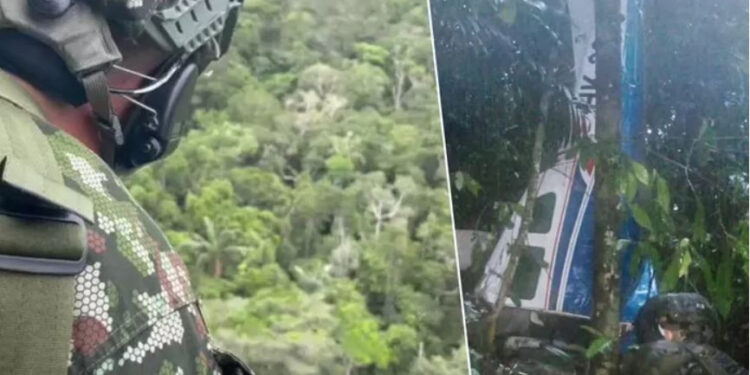 Un miracle dans la jungle: Comment 4 enfants ont survécu seuls 15 jours après un crash d’avion en Amazonie