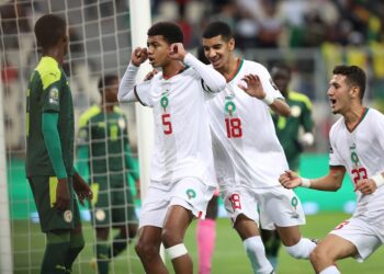 Les Lionceaux s’inclinent en finale de la CAN U-17, mais décrochent une place pour la Coupe du Monde