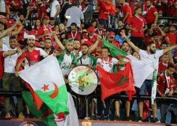 Algérie : Entre Soutien Rival et Manigances Politiques à l’Approche de la Finale Maroc-Sénégal