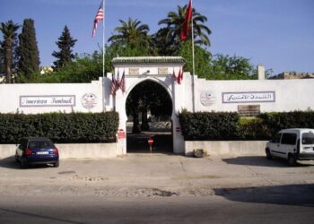 Fondouk américain de Fès : des animaux abattus faute de matériel !