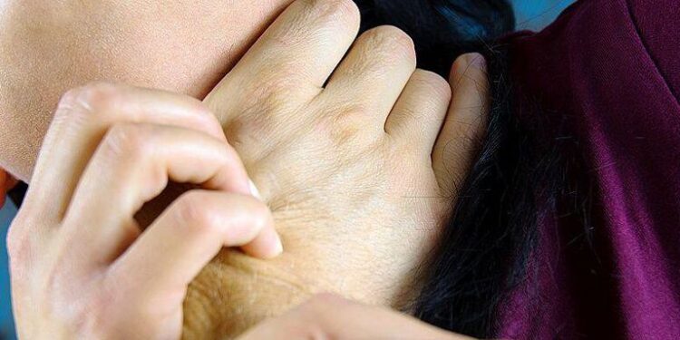 Drame à Casablanca : l’incapacité d’acheter un mouton pour l’Aïd pousse un homme à commettre l’irréparable