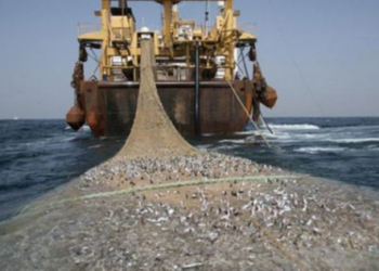 Le Polisario met en garde l’Espagne contre le renouvellement de l’accord de pêche Maroc-UE