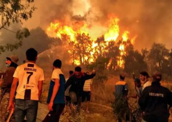 L’Algérie en Proie aux Flammes : Accusations, Critiques et Désespoir