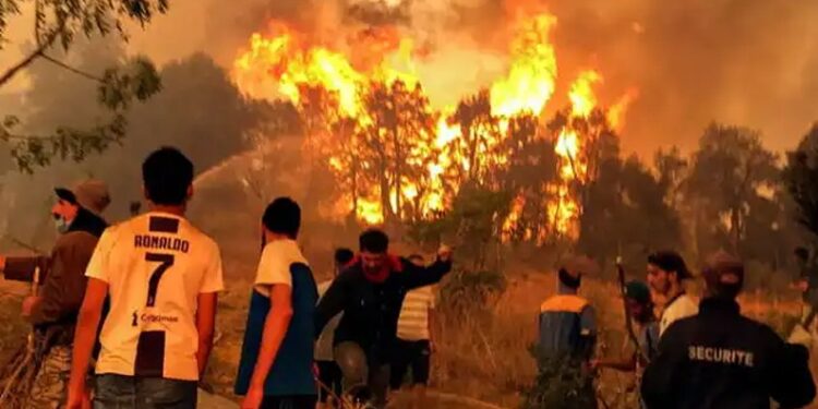 L’Algérie en Proie aux Flammes : Accusations, Critiques et Désespoir