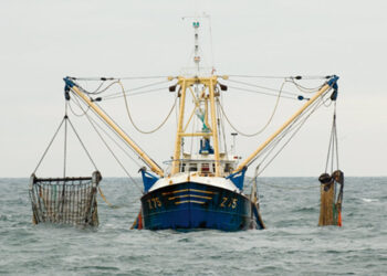 Le Polisario propose des licences de pêche aux Espagnols dans les eaux du Sahara
