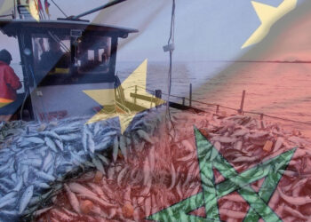 L’Espagne appelle à un renouvellement urgent du protocole de pêche avec le Maroc