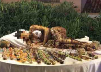 Une jeune femme recouverte de chocolat parmi les desserts d’un hôtel italien