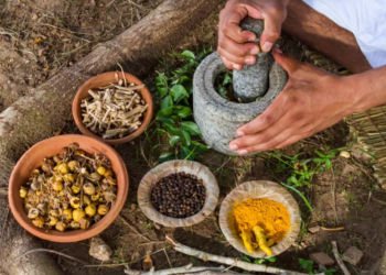 Un pas en avant dans la médecine traditionnelle: Premier sommet mondial inauguré en Inde
