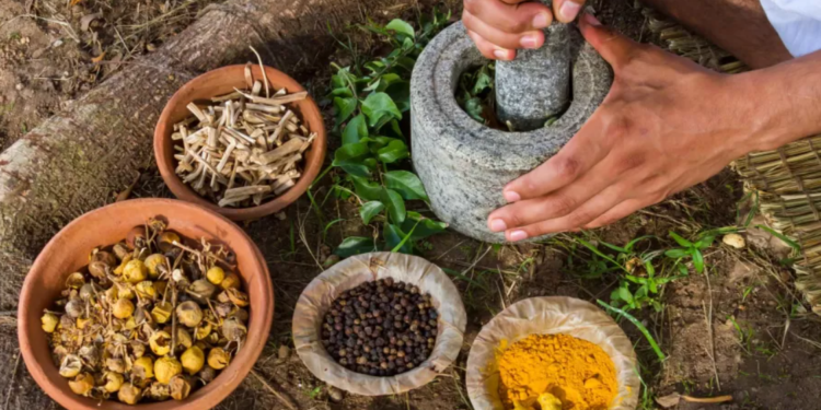 Un pas en avant dans la médecine traditionnelle: Premier sommet mondial inauguré en Inde