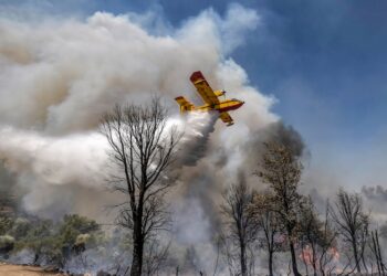 Incendie majeur dans la réserve de Sidi Bougaba: une intervention rapide évite la catastrophe