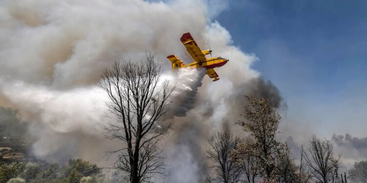 Incendie majeur dans la réserve de Sidi Bougaba: une intervention rapide évite la catastrophe