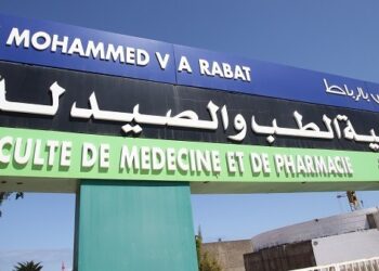 Réforme des études en médecine : Les étudiants dénoncent un manque de transparence