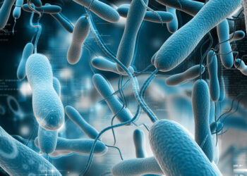 Choléra: Une menace globale, mais un risque faible pour le Maroc