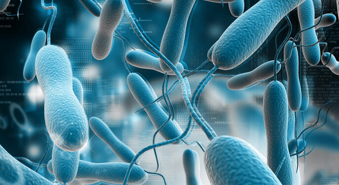Choléra: Une menace globale, mais un risque faible pour le Maroc