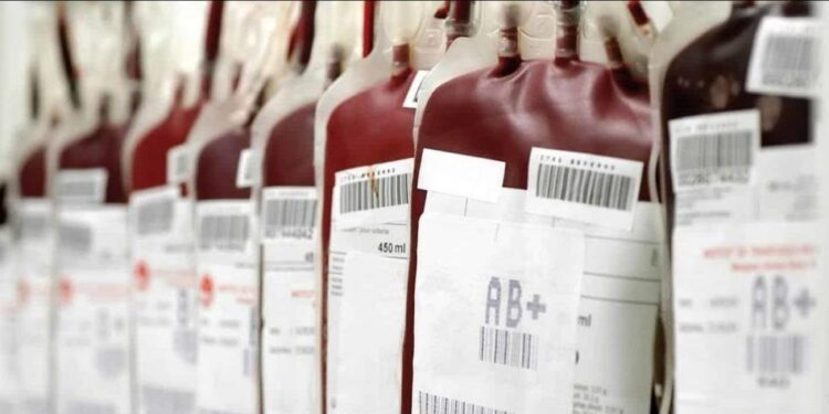 Casablanca: Record de dons de sang après le séisme