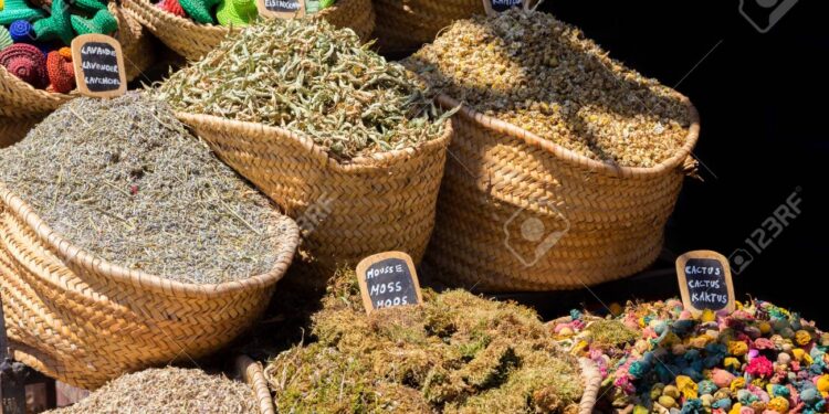 Alerte à Tantan : Violences et abus par un herboriste