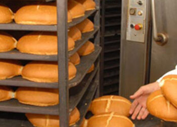 FNBP : Le pain de l’espoir pour les régions touchées par le séisme