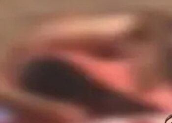 Le scandale du « Pédophile d’El Jadida » prend de l’ampleur