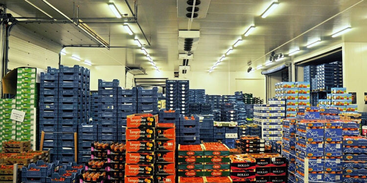 Le Maroc à la rescousse de l’Espagne avec plus de légumes.