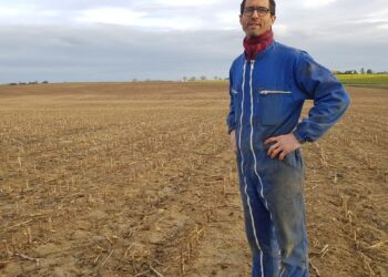 Averses annoncées : La terre et les agriculteurs en attente de répit