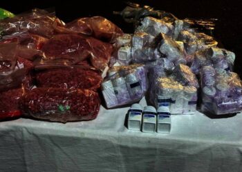 Saisie importante de psychotropes au port de Tanger Med