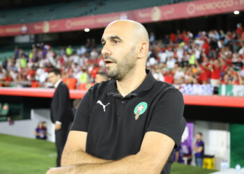 Les Lions de l’Atlas : Favoris pour la Conquête de la Coupe d’Afrique