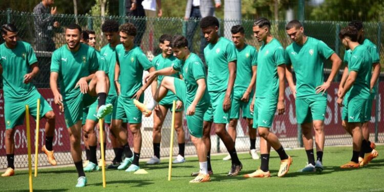 Préparation Olympique : L’équipe nationale affronte le Danemark et les États-Unis en Amicaux