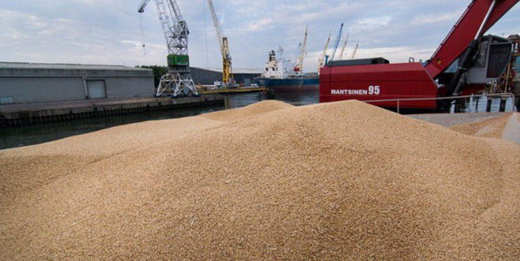 Le Maroc renforce son importation de blé face aux défis de la production locale