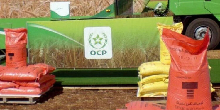 OCP : Un Troisième Trimestre 2023 Exceptionnel dans l’Industrie des Phosphates et des Engrais