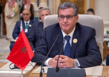 Le Maroc au cœur de la diplomatie Arabe et Africaine : Les sommets clés de Riyad