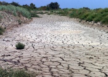 Le Maroc en proie à une « Crise Sécheresse » sans précédent