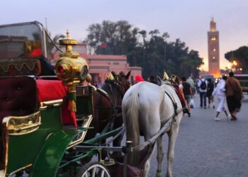 13,2 millions de touristes : Le Maroc atteint de nouveaux sommets en 2023