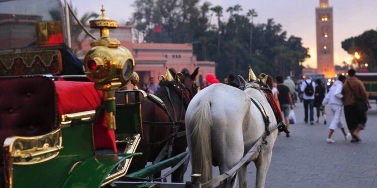 13,2 millions de touristes : Le Maroc atteint de nouveaux sommets en 2023