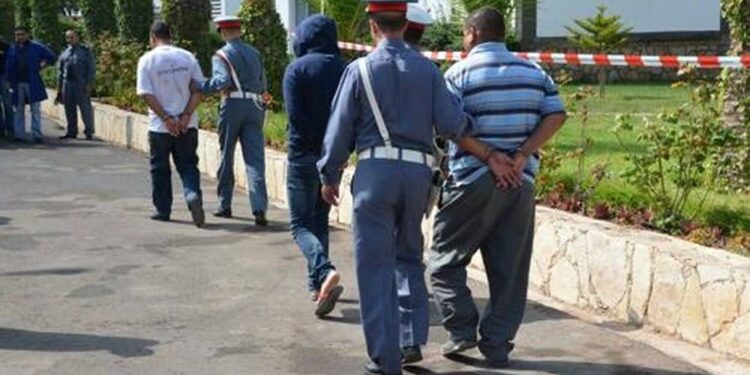 Succès opérationnel de la Gendarmerie Royale : 100 individus appréhendés à Skhirat