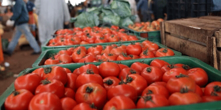 Tomate inabordable : La tomate au Maroc devient un luxe !