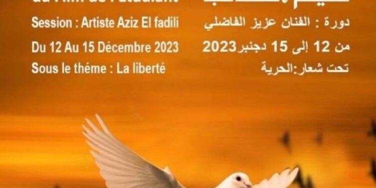 Le Festival International du Film Étudiant (FIFE): Une programmation riche et diversifiée à Casablanca