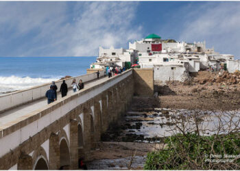 Casablanca transforme l’Îlot de Sidi Abderrahman: Un futur touristique en construction